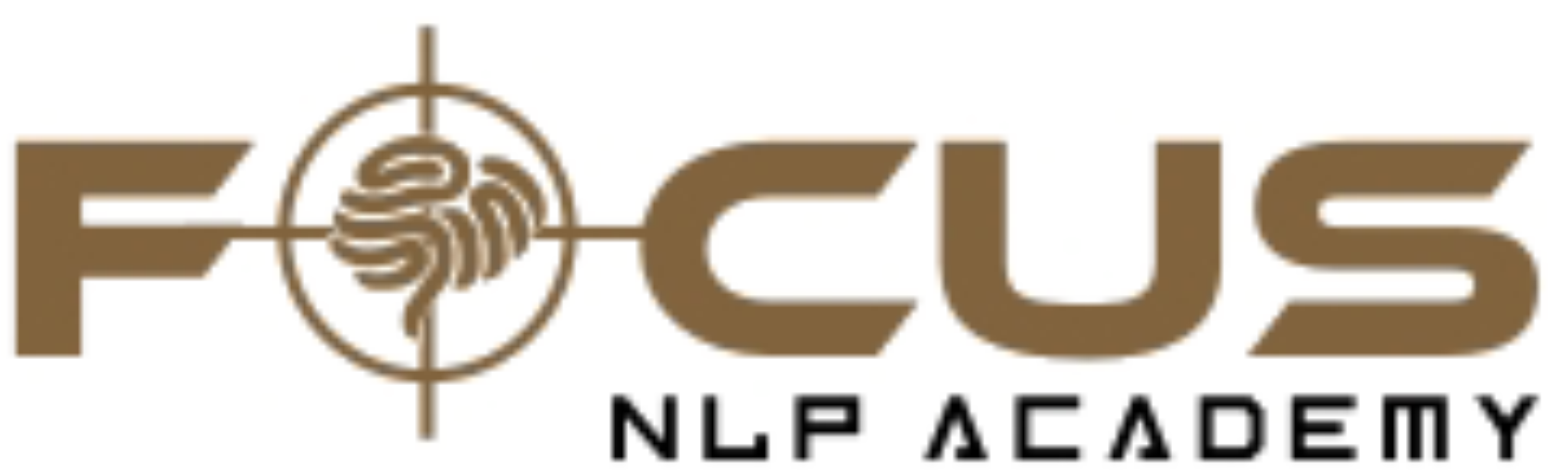 Focus NLP Academy